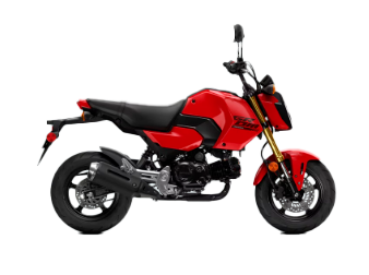 Model Image